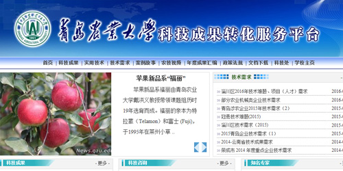 成果转化