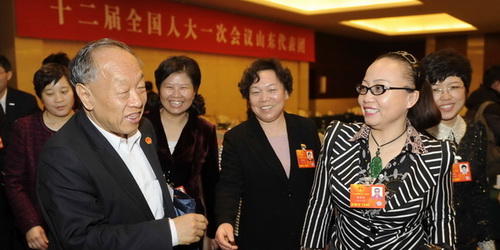 体系专家