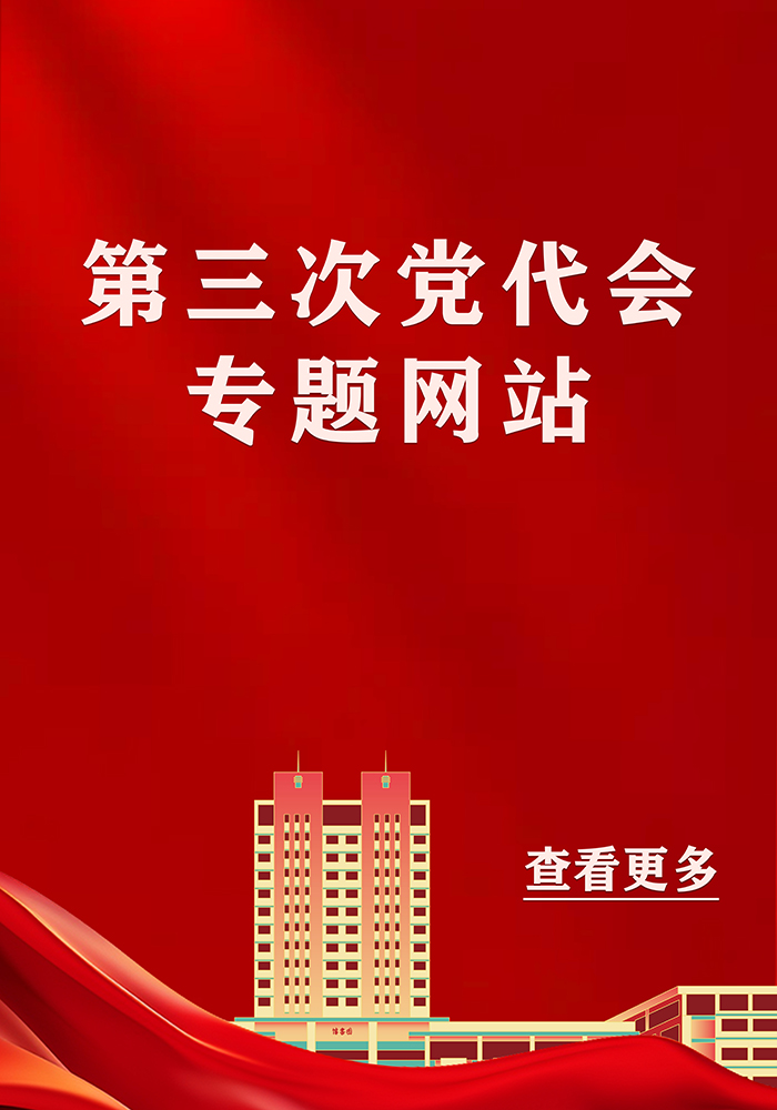 第三次党代会专题网站